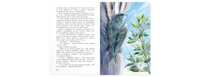 Я считаю ворон. Две истории из жизни птиц и людей Printed books ЭНАС