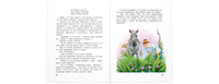 Счастливо. Ивушкин! Printed books ЭНАС