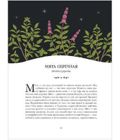 Ведьмин сад. Тайная сила трав.