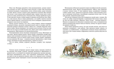 Рони-Старший Ж. Борьба за огонь Printed books МАХАОН