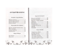 Весёлая переменка. Сборник рассказов Printed books Аквилегия