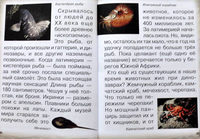 Животные Земли. Прошлое и будущее