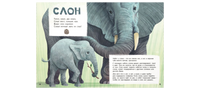 Они такие разные! Printed books ЭНАС