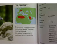 Энциклопедия .Животный Мир. Тропики