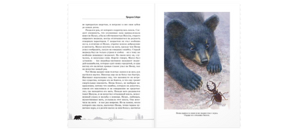 Бродяги Севера: повесть Printed books ЭНАС