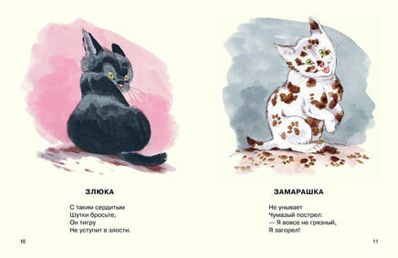 Посмотрите какие котята. Матвеев В. Странички-невелички Printed books Речь