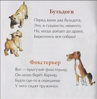 День рождения собаки. Книжка-малышка. 0+