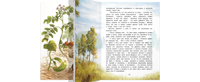 Ботанические сказки Printed books ЭНАС