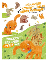 Пес Абрикос изучает и запоминает