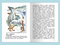 Чаплина В. Мои питомцы