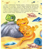Черепашонок Тим и его Большая мечта