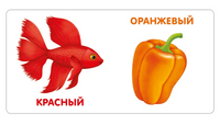 Книжки - картонки. Цвета в природе Printed books Робинс
