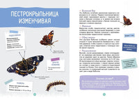 Лесные животные. Энциклопедия юного исследователя