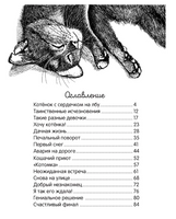Долгая дорога домой Printed books Феникс-Премьер