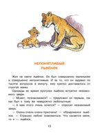 Солнышко на память. Рисунки В. Сутеева