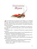 Земляничная фея. Волшебная книга каникул