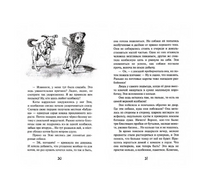 Кошкин город. Бродячие истории Надея Ясминска Printed books Аквилегия