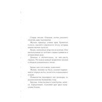 Трое из Жана-Парижа. Айгуль Калиновская