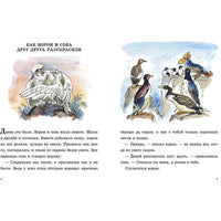 О честном вороне, коварной сове и глупом лисе