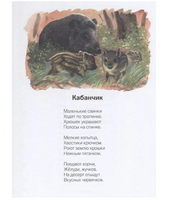 На лесной тропинке. Н.В. Кузнецова