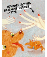 Пес Абрикос изучает и запоминает