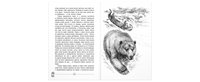 Приключения Саджо и ее бобров Printed books ЭНАС