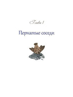 Познавательные истории. Животный мир городов.