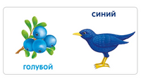 Книжки - картонки. Цвета в природе Printed books Робинс