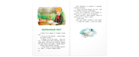 Волшебное слово : рассказы Printed books ЭНАС