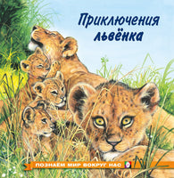 Приключения львенка