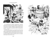 Мушкетёр и фея и другие истории. Большие книги
