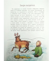 Вот ты какой, северный олень!