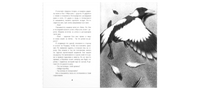 Птицы поют даже в хмурые дни Printed books ЭНАС