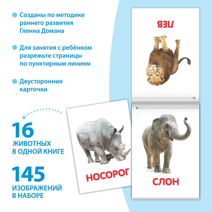 Обучающие карточки на скрепке. Набор книжек 8 шт - [купить в сша] - [Bookvoed US]