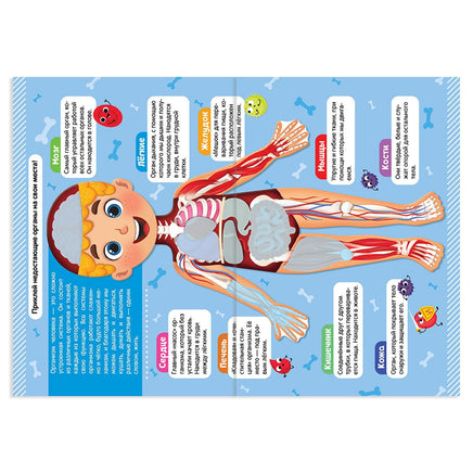 Тело человека. Набор книг с наклейками 2 шт Printed books Сима-ленд