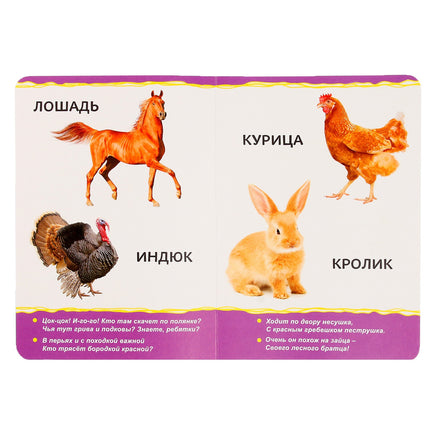Домашние животные. Книжка картонная Printed books Сима-ленд