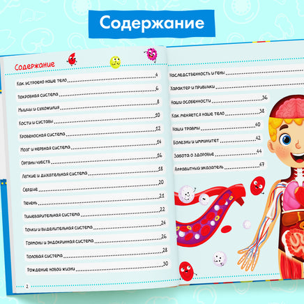 Тело человека. Энциклопедия для детей от 3х лет Printed books Сима-ленд