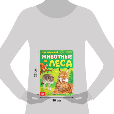 Для малышей №1 4 шт. Набор картонных книг - [купить в сша] - [Bookvoed US]