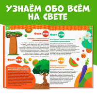 100 фактов о мире вокруг. Энциклопедия в твёрдом переплёте - [купить в сша] - [Bookvoed US]