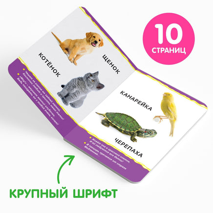 Для малышей №1 4 шт. Набор картонных книг - [купить в сша] - [Bookvoed US]