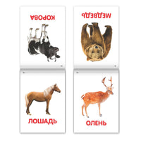 Обучающие карточки на скрепке. Набор книжек 8 шт - [купить в сша] - [Bookvoed US]