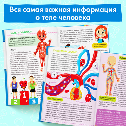 Тело человека. Энциклопедия для детей от 3х лет Printed books Сима-ленд