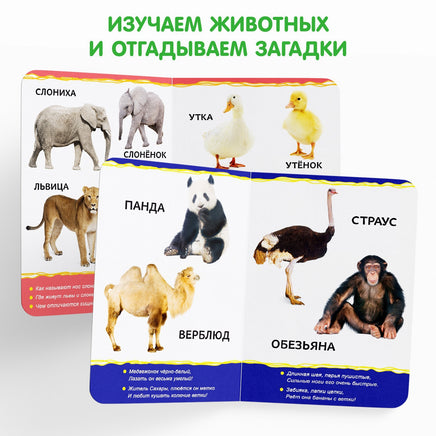 Для малышей №1 4 шт. Набор картонных книг - [купить в сша] - [Bookvoed US]