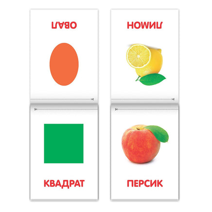 Обучающие карточки на скрепке. Набор книжек 8 шт - [купить в сша] - [Bookvoed US]