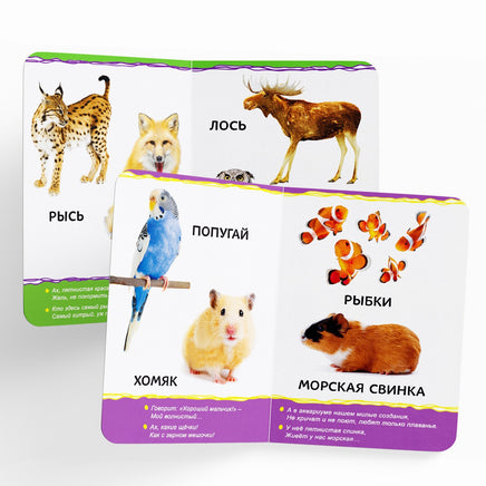 Для малышей №1 4 шт. Набор картонных книг - [купить в сша] - [Bookvoed US]