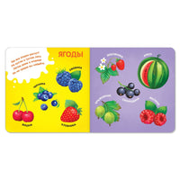 Знакомимся с окружающим миром. Комплект книг на картоне 4 шт Printed books Сима-ленд