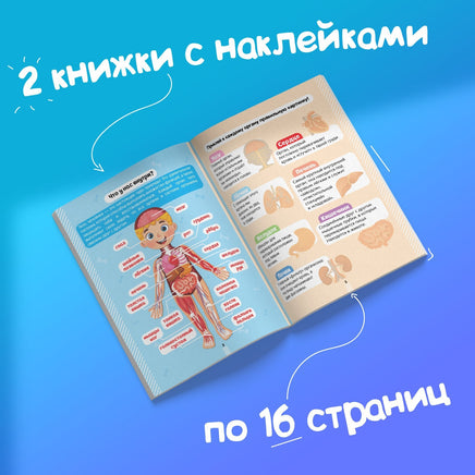 Тело человека. Набор книг с наклейками 2 шт Printed books Сима-ленд