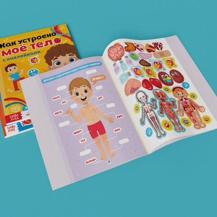 Тело человека. Набор книг с наклейками 2 шт Printed books Сима-ленд