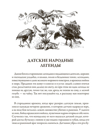 Забытые истории. Ханс Кристиан Андерсен Printed books СЗКЭО