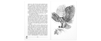 Приключения Саджо и ее бобров Printed books ЭНАС